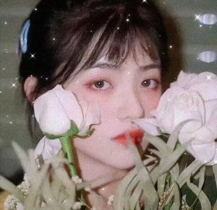 新月