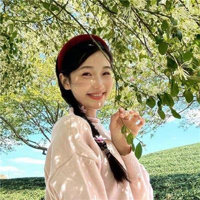 绝望写手第四季